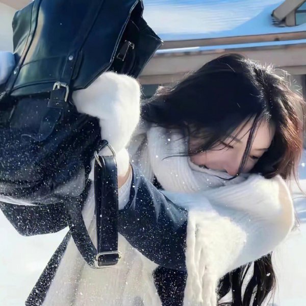飞燕新装 海报